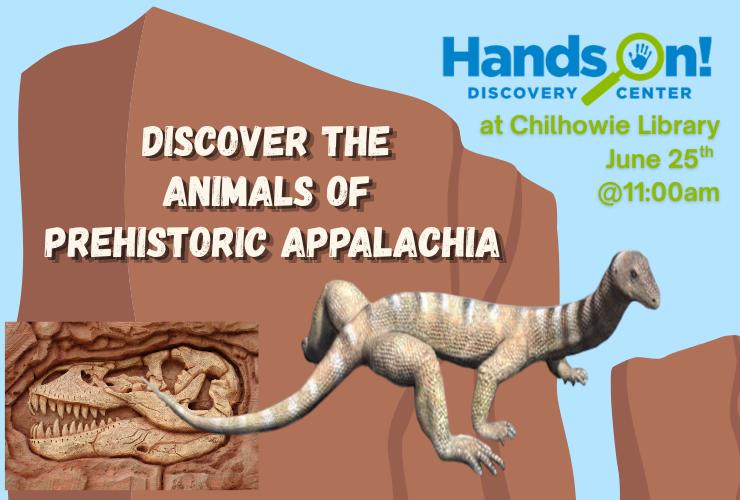 Hands-On Discovery Center at Chilhowie Library! 