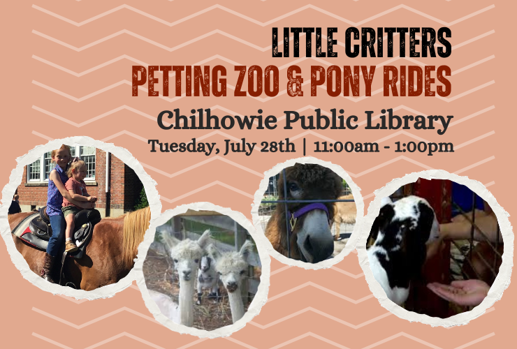 Petting Zoo with Pony Rides at Chilhowie Library