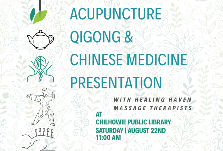 Acupuncture Presentation at Chilhowie Library 