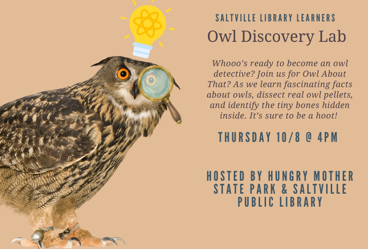 Library Learners at the Saltville Library